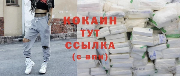 ешки Алзамай