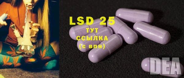 ешки Алзамай