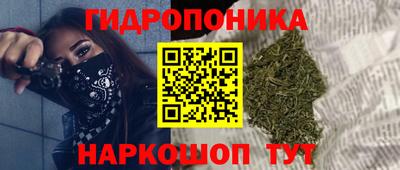 a pvp Заводоуковск