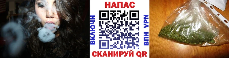 mega ссылка Клин Каннабис OG Kush