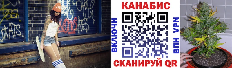 Канабис сатива Клин